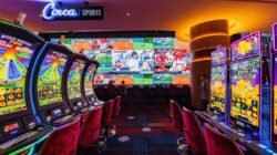 circa sports kentucky Experience the Thrill of Betting