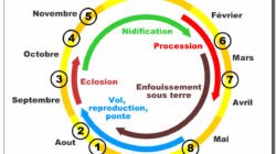 Playmakers Sports Bar And Grill Ridgefield Menu Delight