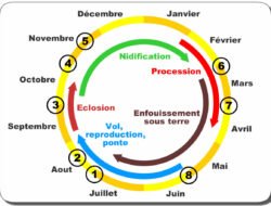 Playmakers Sports Bar And Grill Ridgefield Menu Delight