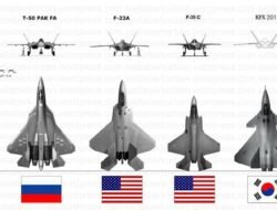 major fitness f22 dimensions Elevate Your Workout Today